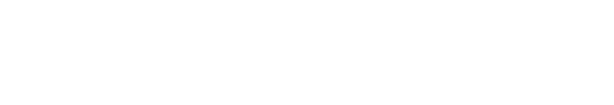 dievirtuellecouch