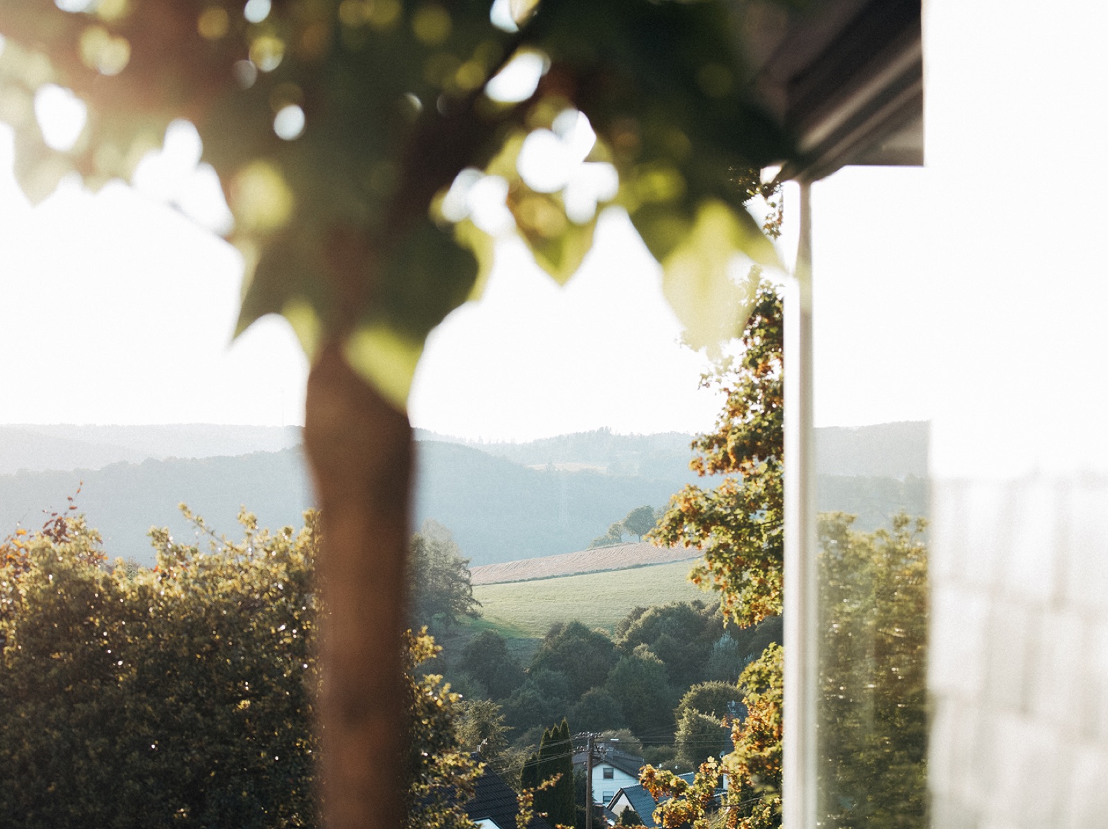 Einblick in die Agentur dievirtuellecouch