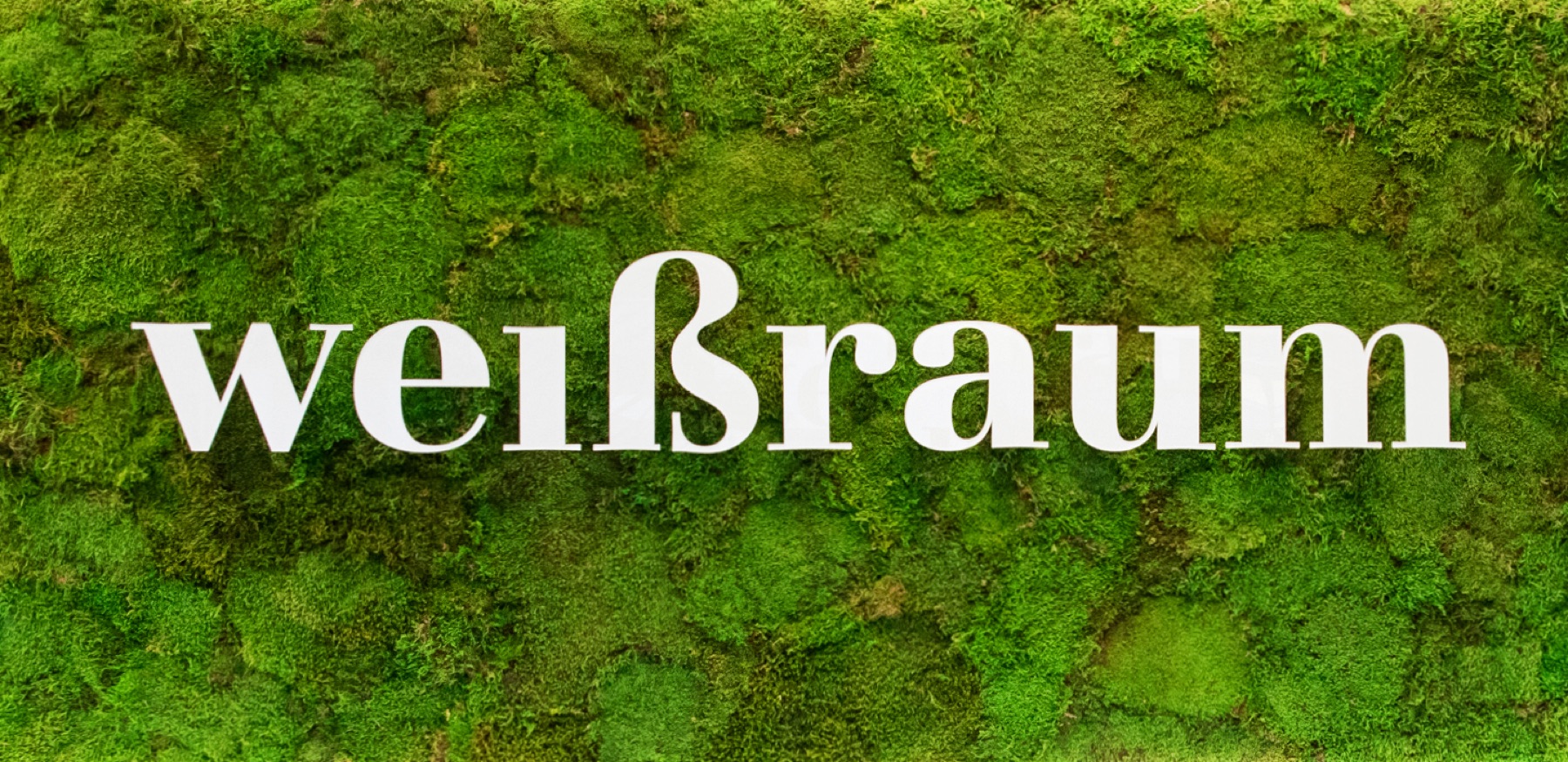 weißraum – Projektbild 3